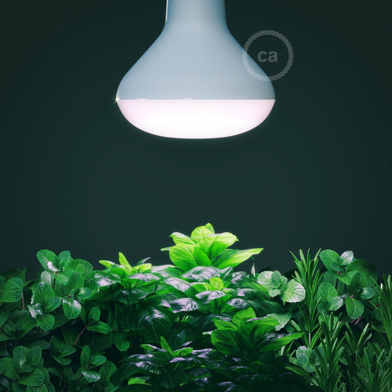 LED Lamp for Plants Growing 12W E27