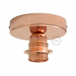 Fermaluce Metal with E27 threaded lamp holder, the metal wall or ceiling light source